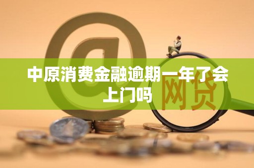 中原消費(fèi)金融逾期一年 上門(mén)催收的可能性與應(yīng)對(duì)策略
